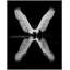 Elegant Departure 2 Print by Thom Filicia