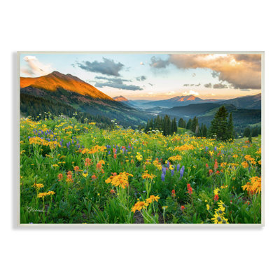 «Open Wildflower Fields Cloudy Sunrise Mountain Landscape» par J.C. Leacock - photographie