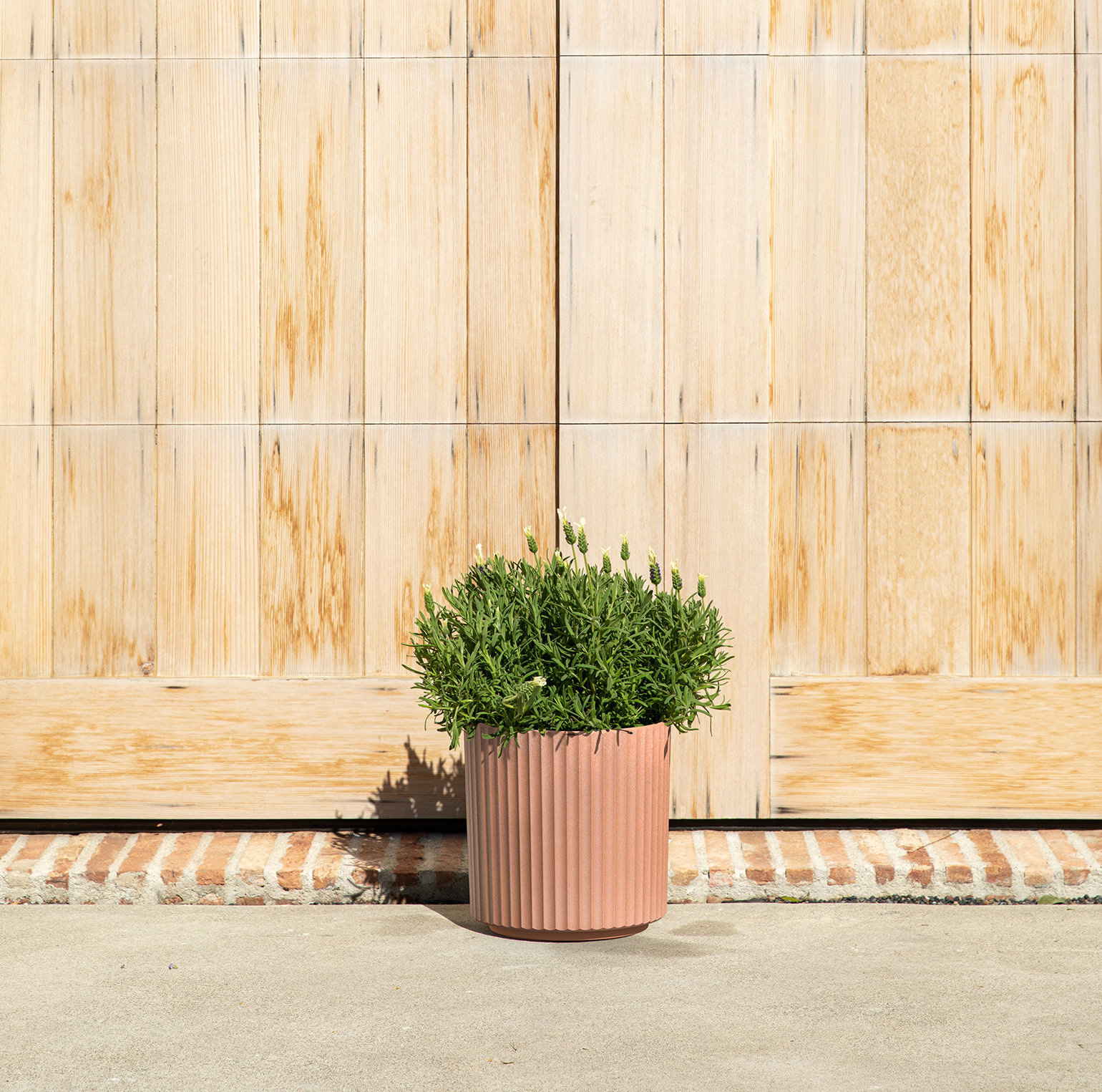 Demi Series Pot Planter, 1, 11.5" H x 10.5" W x 10.5" D, Terracotta