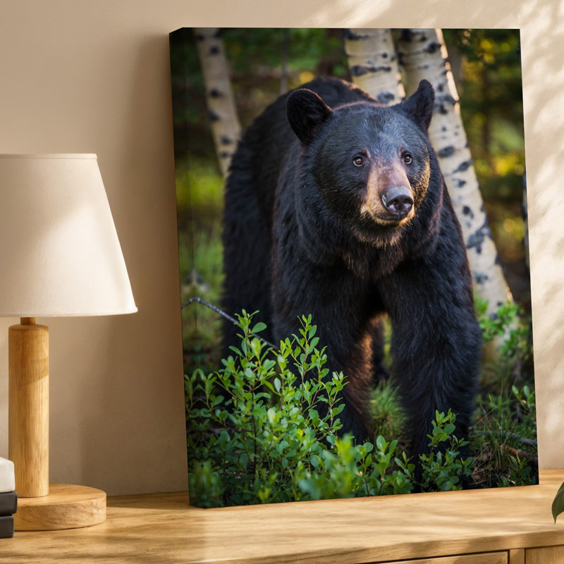 Toile, "Un majestueux ours noir" se tient en évidence dans une forêt sereine, H 30 po x l 20 po