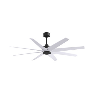 Ariella - Eight Blade Ceiling Fan