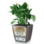 Quadro Premium Pot Planter-16493070-16493061