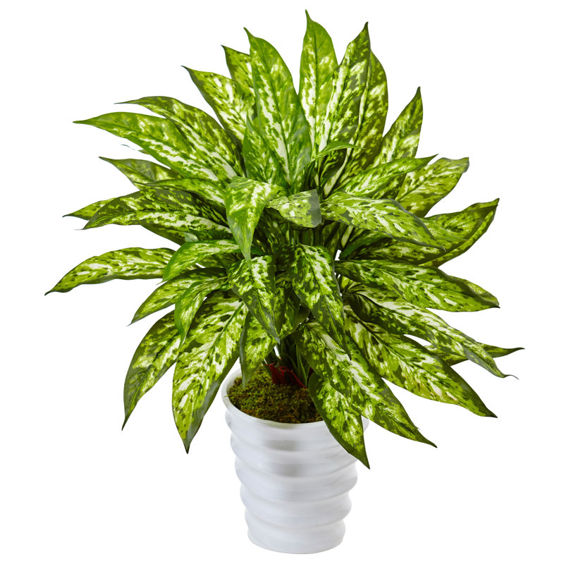 21'' Faux Foliage Plant in Ceramic Planter