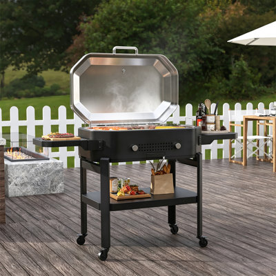 ANMUTIG 30" Stainless Steel Propane Gas Griddle with Hood and Extendable Side Shelves