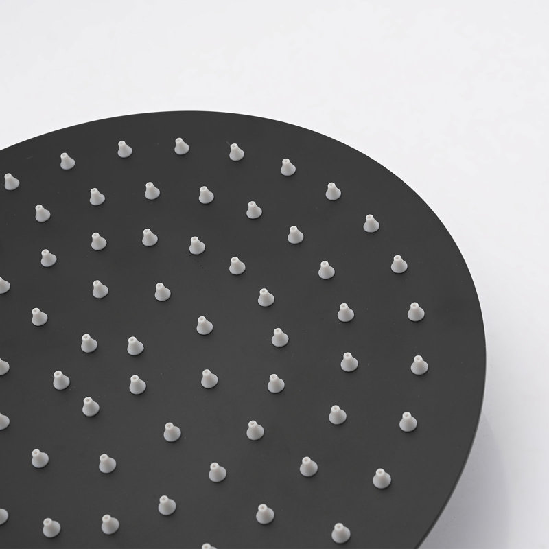 Shower Head with Handheld Shower System with 10" Rain Shower Head, Matte Black