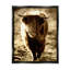 Sunlit Highland, Longhorn, bovin, campagne, campagne-75441239-75441240