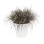 Pot Planter-127113574-37904911