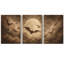 3 Piece Wrapped Canvas Wall Art-1721701806