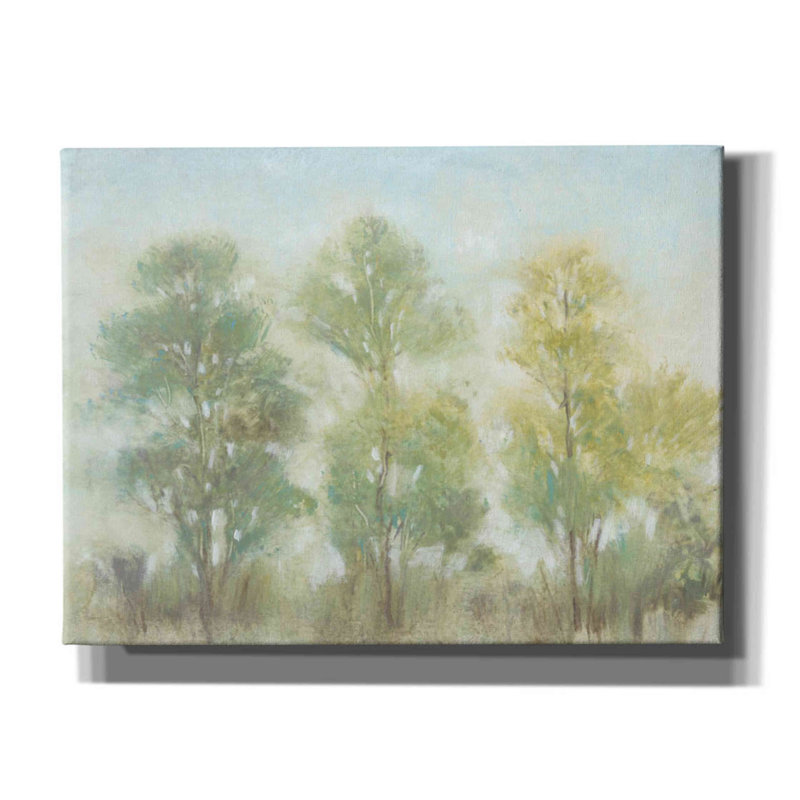 «Mute Trees II» par Tim O'toole, art mural sur toile, H 12 po x l 16 po x P 0,75 po