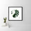 Variegated Monstera II by Grace Popp-2104103204-2104103205