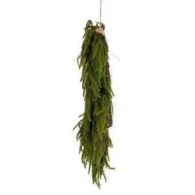  30" Green Norfolk Pine Wreath.
