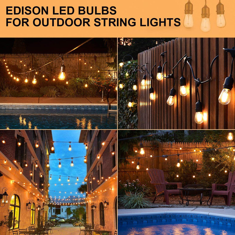 Herodias 48FT 24-Bulb Outdoor Standard String Light Shatterproof Linkable