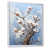 White Floater Framed