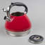 Creative Home Triumph 3,5 pte Bouilloire en acier inoxydable pour cuisinière-14142667