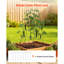 Cucumber Trellis, A-Frame Garden Trellises for Raised Bed, Metal Rustproof Coating Plant Support for Vine, Climbing Plants, Peas, Beans, Zucchini, Tomato, Flower (46.06 x 18.11 in)