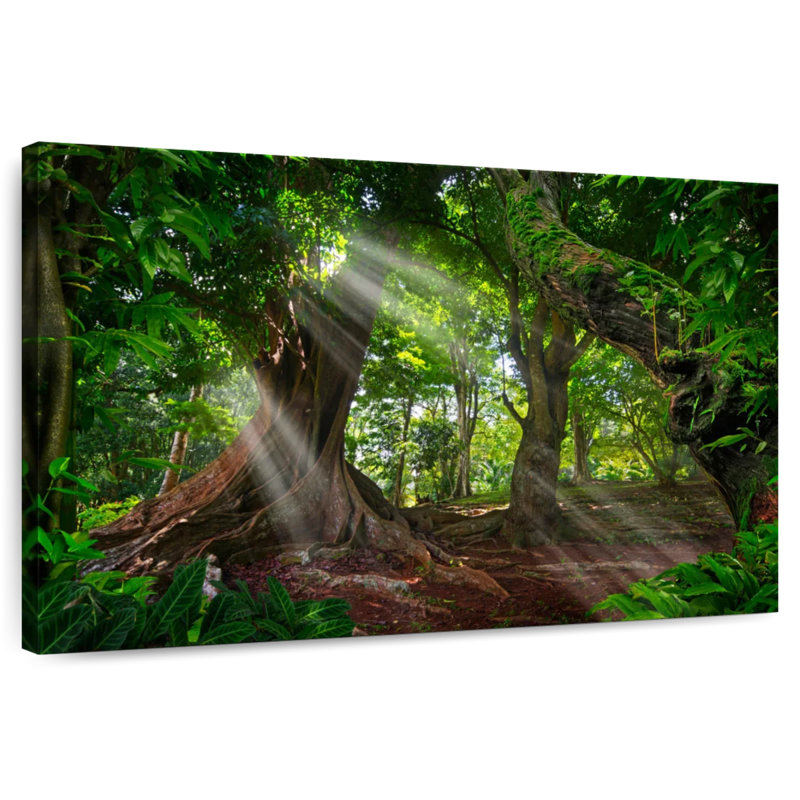 Alvord Sunlit Rainforest, 34" H x 51" W