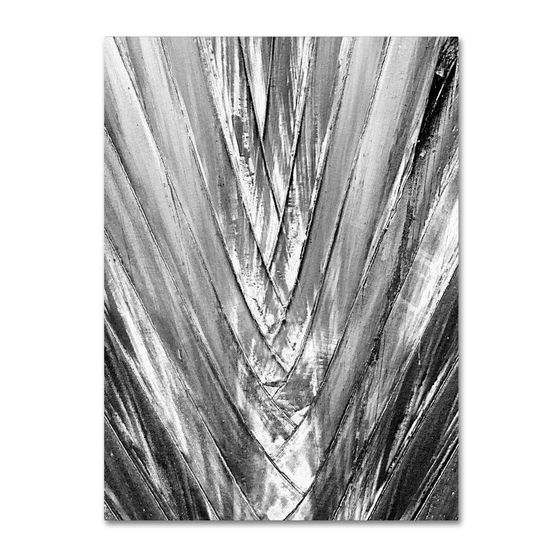 Mampre «Black and White Palm 4», reproduction de photo sur toile tendue, H 47 po x l 35 po