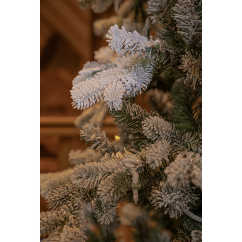 Snowy Sheffield Spruce 7.5ft Tree