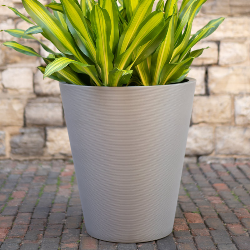 Pot à fleurs Pro Series Curve Thirty, Gris
