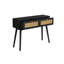 Noemi Rattan Console Table 100CM Width-964095934