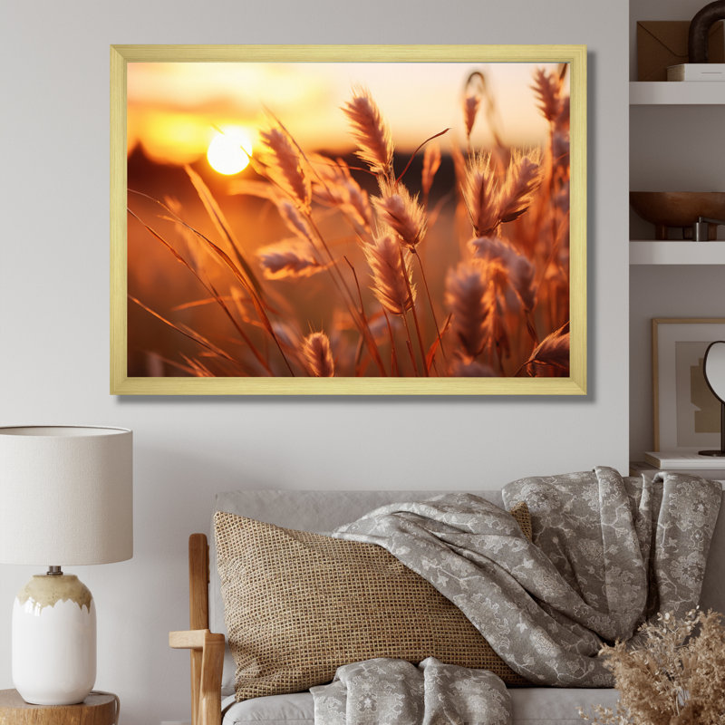 Champ de fleurs jaunes jaunes avec coucher de soleil II, H 34 po x l 44 po x P 1,5 po, Cadre doré à une seule photo