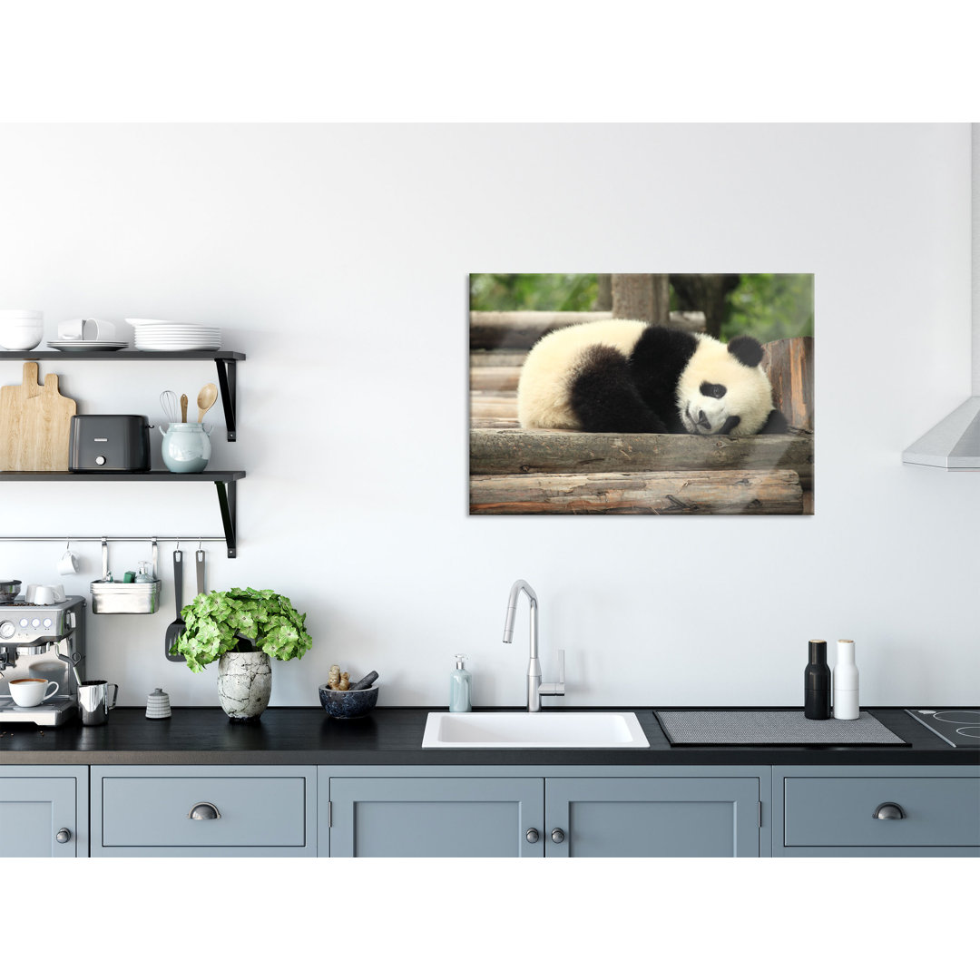 Glasbild Wandbild Auf Echtglas Süßer Kleiner Pandabär Inkl. Aufhängung Und Abstandshalter LFs1052