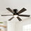 Ventilateur de plafond encastré 46 "avec lumières, télécommande, moteur à courant continu silencieux 6 ventilateurs de plafond à pales en contreplaqué à 6 vitesses, ventilateur de plafond réversible, pour salon de patio, chambre à coucher, bureau, intérieur (noir mat)