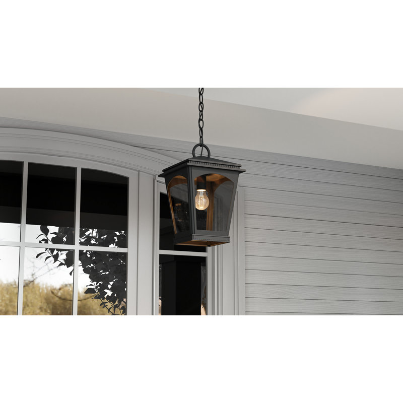 Claborn 1-Light Earth Black Outdoor Hanging Lantern