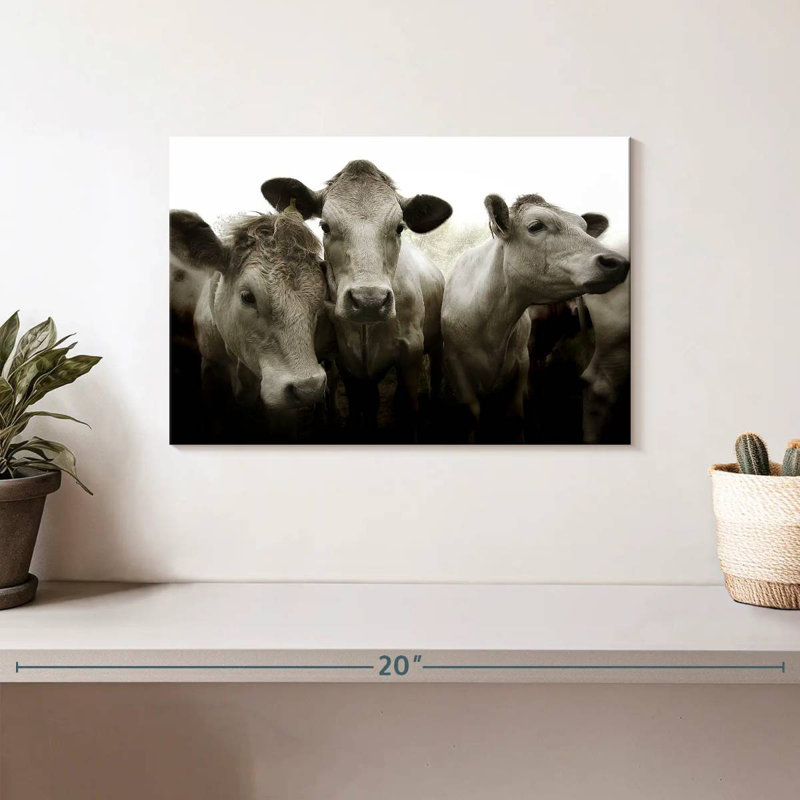 Brampt Three White Cows, 8" H x 12" W