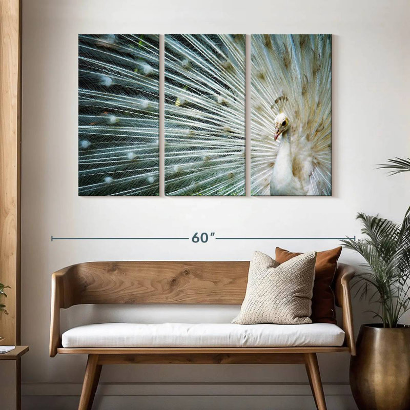 Brampt Icy White Peacock, 32" H x 50" W