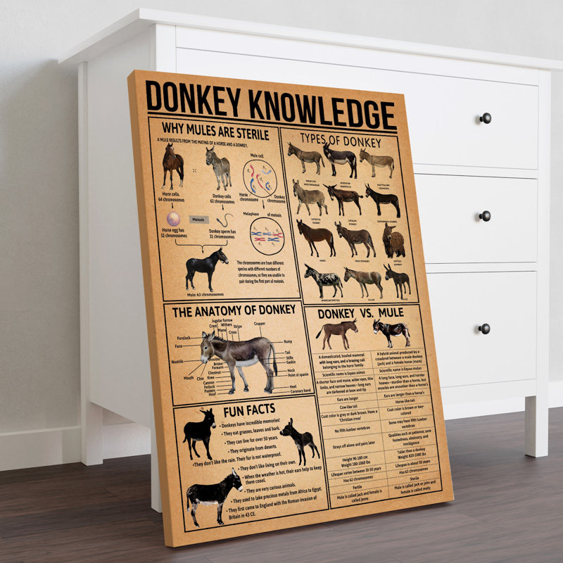 Toile tendue Donkey, H 14 po x l 11 po x P 2 po