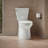 Betello 1.28 GPF (Water Efficient) Elongated Two-Piece Toilet (Seat Not Included)-44387724-44387725