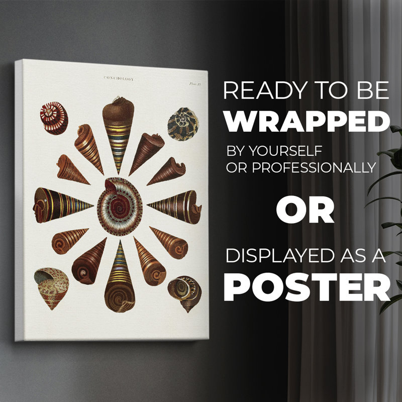 Spiral Shell Formation IV - Impression sur toile seulement - NON-CADRE, H 48 po x l 32 po