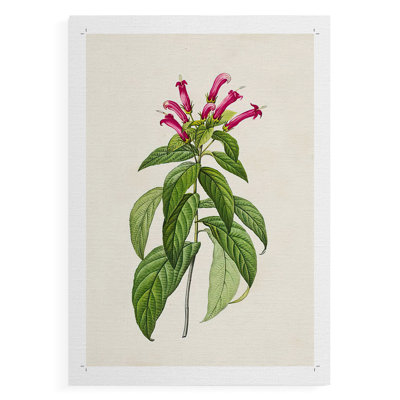 Pretty Pink Botanicals VIII -Canvas Print Only - NOT FRAMED