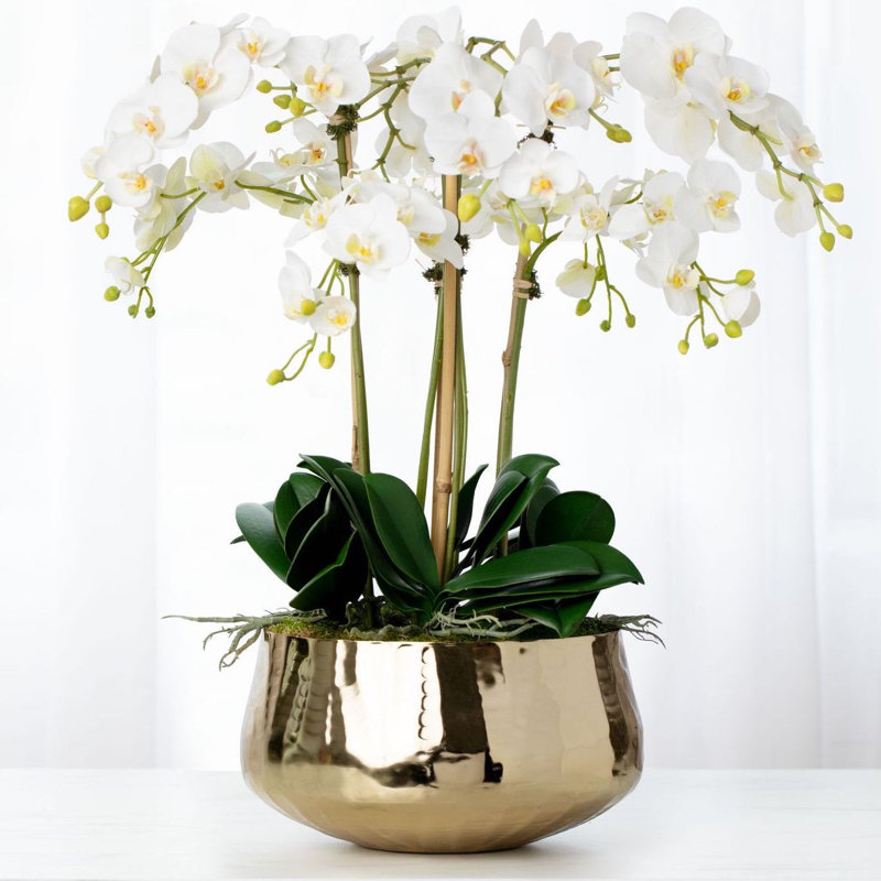 Orchid Floral Arrangements in Planter