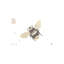 «B Is for Bee» - impression-52819234-52819225-52819231
