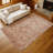 Machine Washable Indoor/Outdoor Chantille ACN2298 Global Rug-20548806