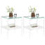 Deux tables d'appoint rectangulaires en verre trempé pour un salon fonctionnel, moderne et relaxant