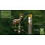 Girouette cerf-12272476