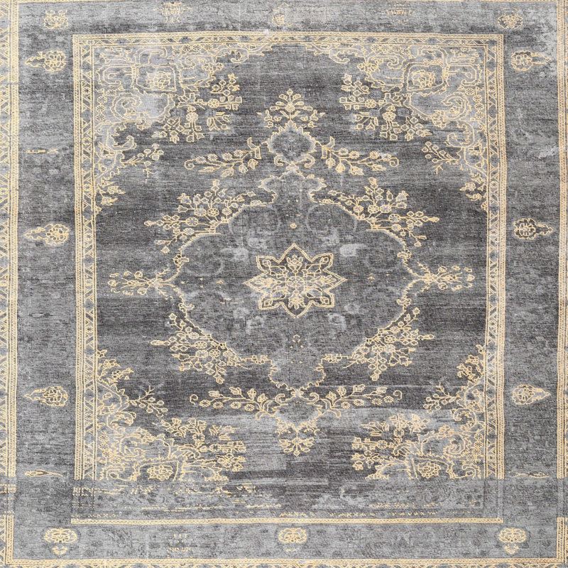 Heinrike Oriental Indoor Rug, Square 6'