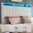 Bed Frame With Led Light And 3 Drawers Storage-1653522734