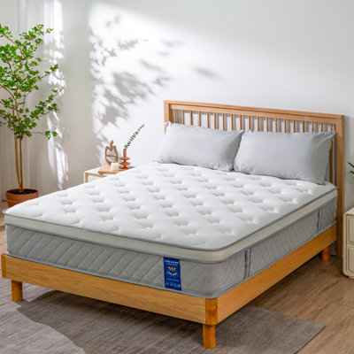 Pillow Top Plush Hybrid Mattress In a Box by Alwyn Home