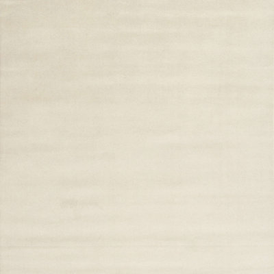 Indoor Rug