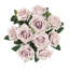 Grand rosier Jaafer Deluxe-927148380