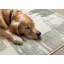 Tapis vert Manzelli-347002778