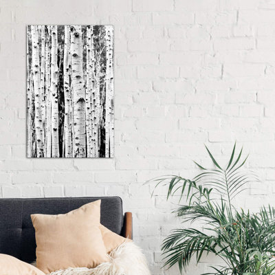 Birch - Wrapped Canvas Print