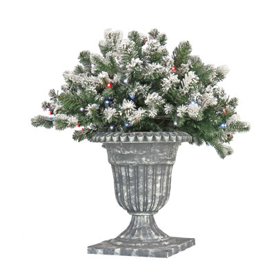 24" Snowy Sheffield Spruce Porch Bush With Twinkly LED Lights
