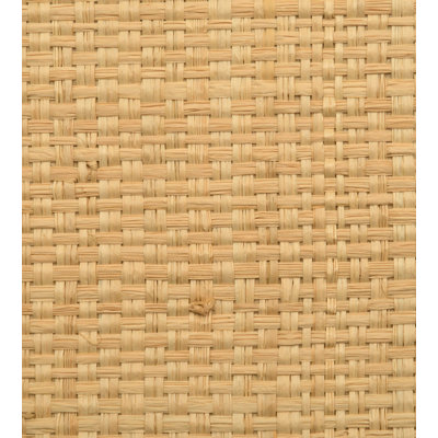Hinson Icons Grass Cloth Texture Roll