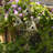 Guglielmo 86.75'' H x 26'' W x 9'' D Birdhouse
