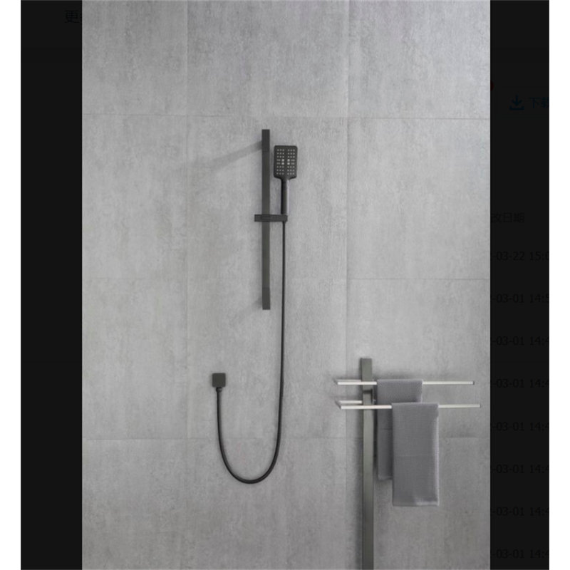 Handheld Shower Head 2.0 GPM 